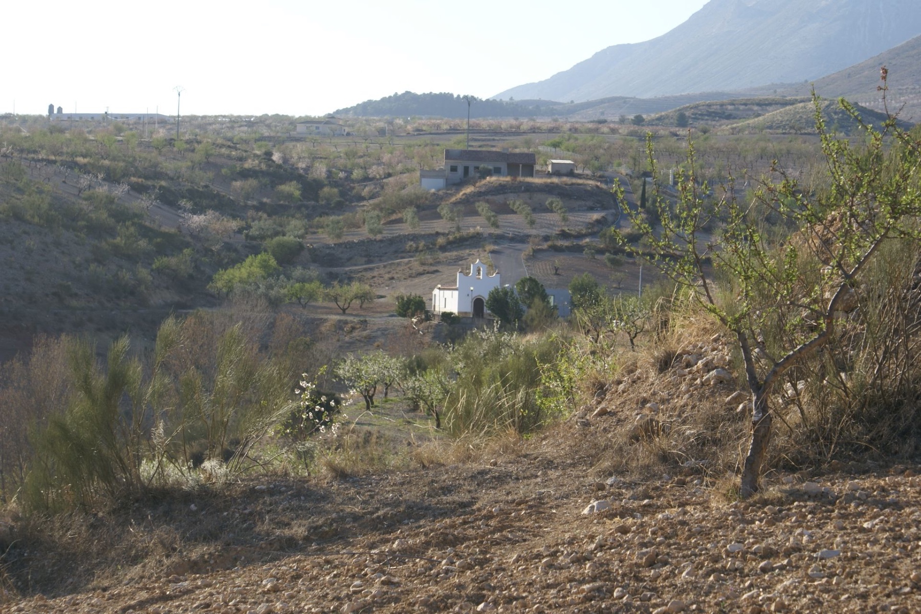 Land in Henares - Image 5