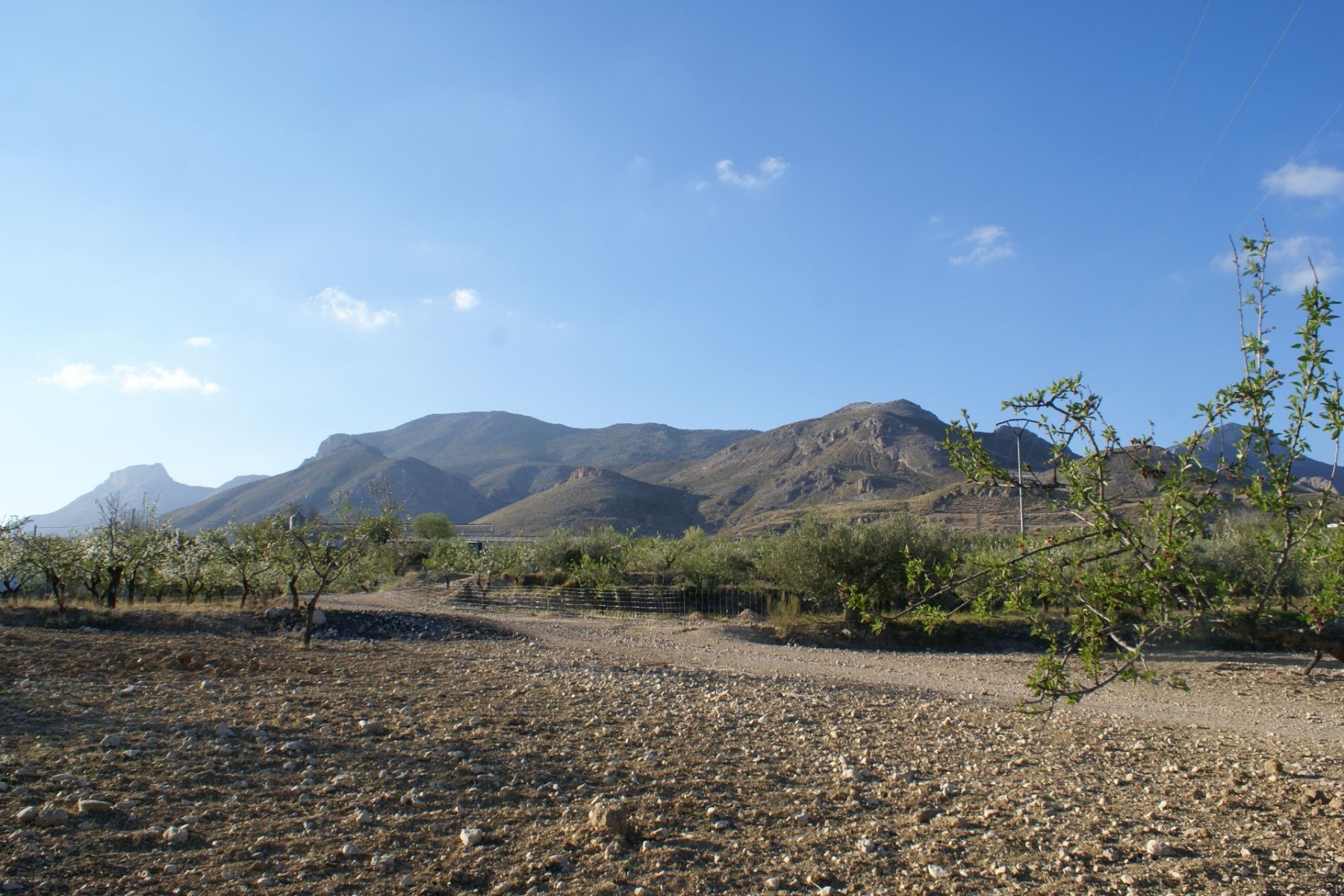 Land in Henares - view 1