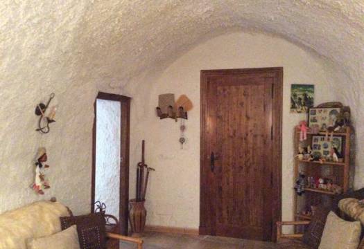 Resale - Finca / Country Property - Fortuna