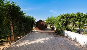 Zonas ajardinadas | Propiedad con piscina privada y terraza en Almoradí