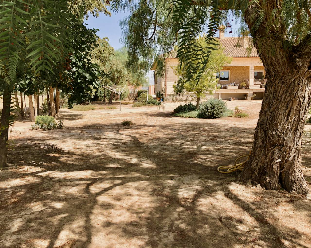SLP1950: Finca Country Property for sale in Catral