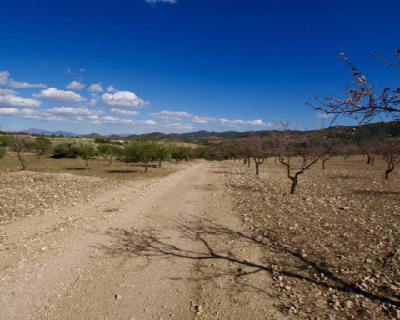 Land for sale in Murcia City, Costa Calida