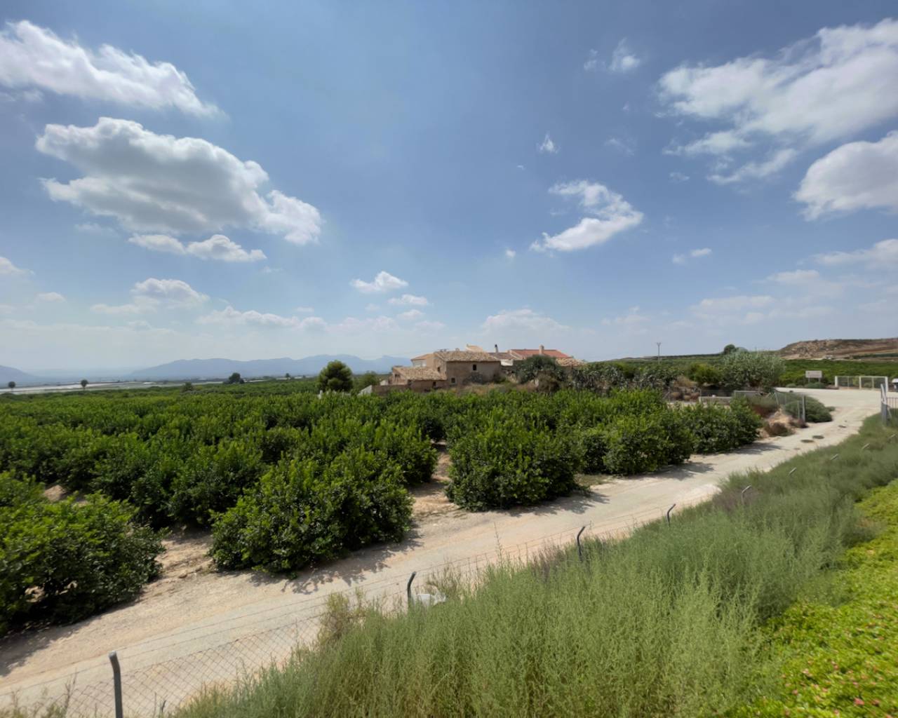 SLP2197: Finca Country Property for sale in Orihuela