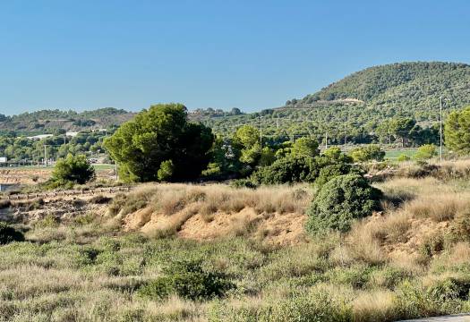 Resale - Villa - Entre Naranjos