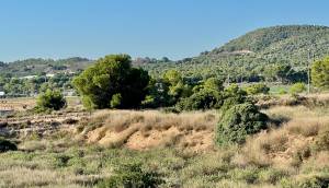 Resale - Villa - Entre Naranjos