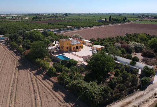 Resale - Finca / Country Property - Orihuela