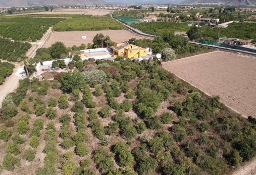 Resale - Finca / Country Property - Orihuela