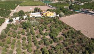 Resale - Finca / Country Property - Orihuela