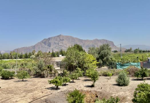 Resale - Finca / Country Property - Orihuela