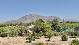 Resale - Finca / Country Property - Orihuela