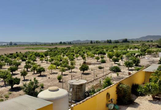 Resale - Finca / Country Property - Orihuela