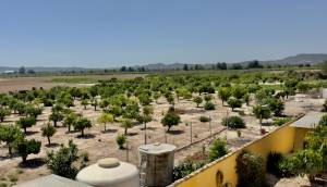 Resale - Finca / Country Property - Orihuela