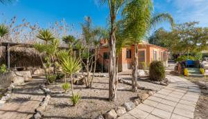 Resale - Finca / Country Property - Catral