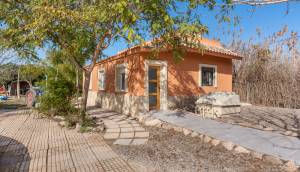 Resale - Finca / Country Property - Catral