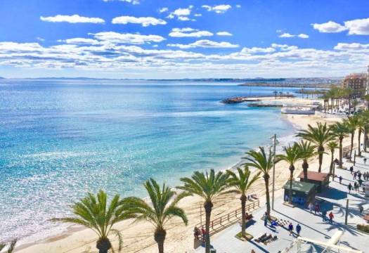 Obra Nueva - Villa - Torrevieja - Lago jardin