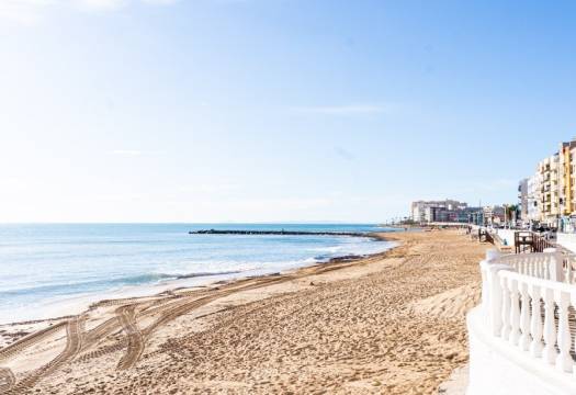 Obra Nueva - Villa - Torrevieja - Lago jardin