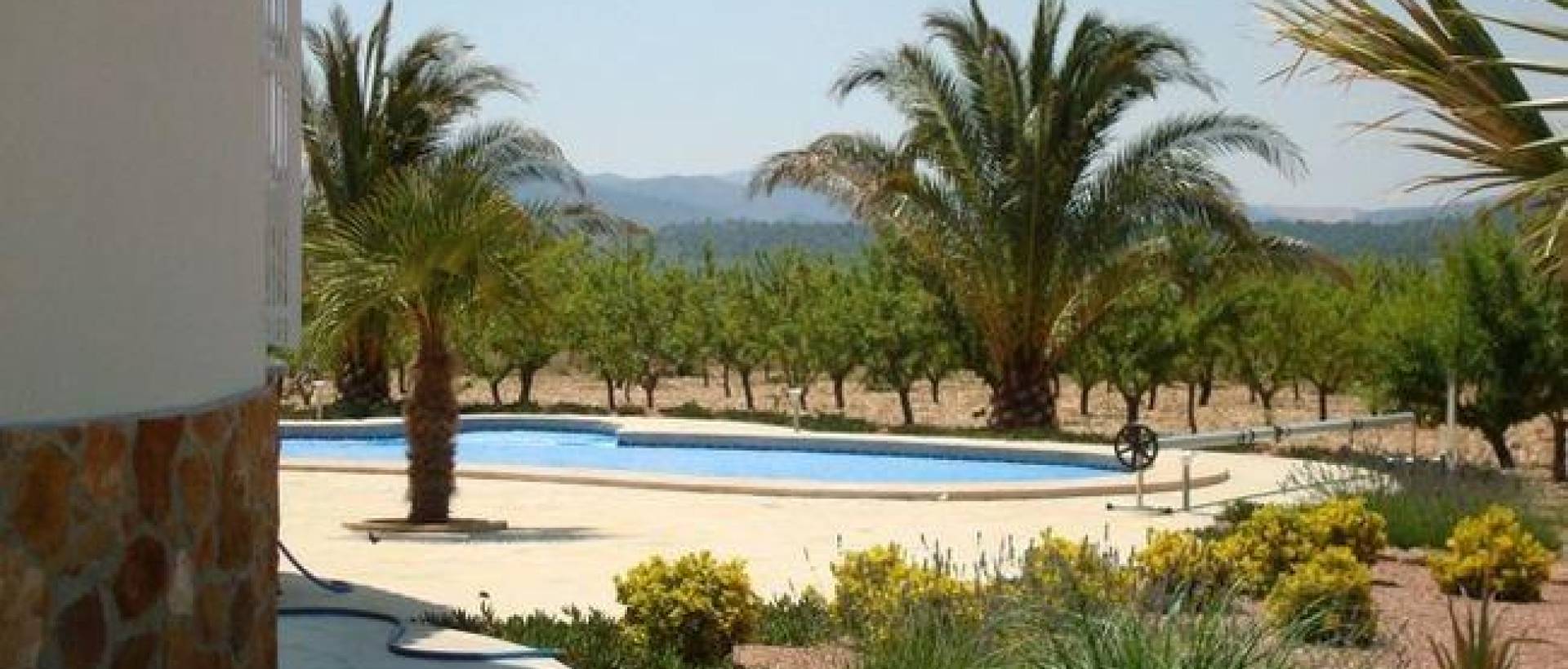 New - Villa - Pinoso - Campo