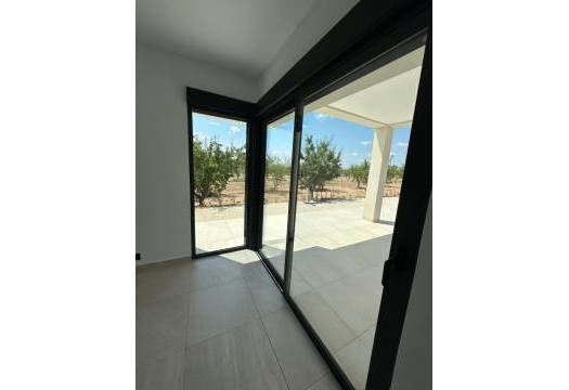 Obra Nueva - Villa - Pinoso - Campo