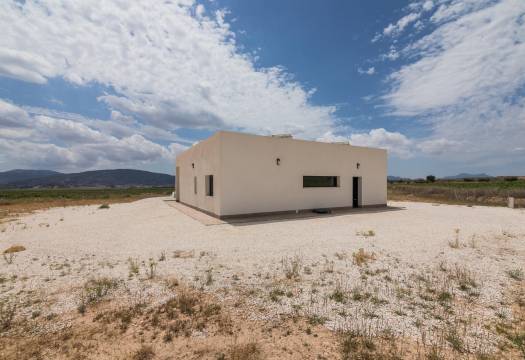 New - Villa - Pinoso - Campo