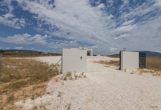 Obra Nueva - Villa - Pinoso - Campo