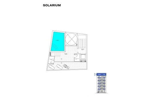 Obra Nueva - Apartmento - Torrevieja - Playa de los locos