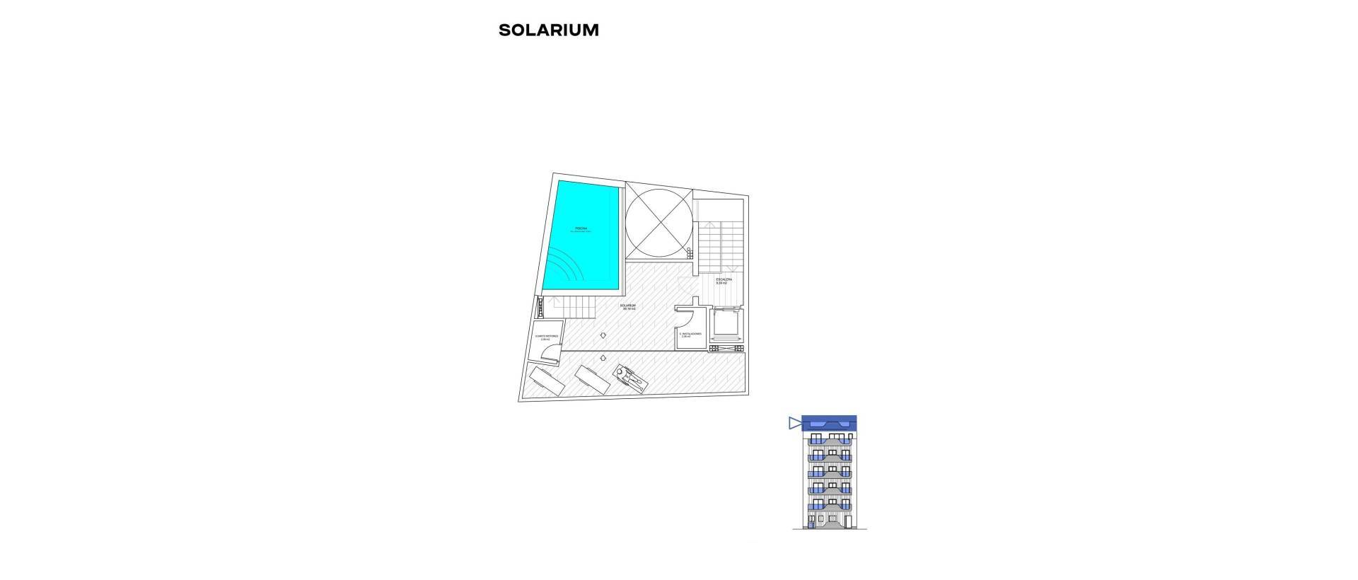 Obra Nueva - Apartmento - Torrevieja - Playa de los locos