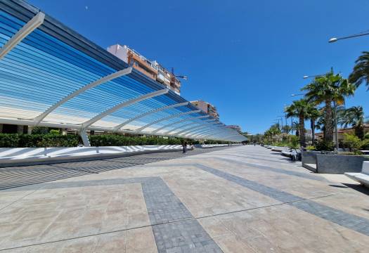 Obra Nueva - Apartmento - Torrevieja - Playa de los locos