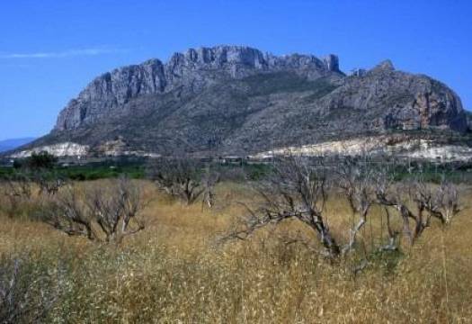 New - Apartment - Denia - Km 10