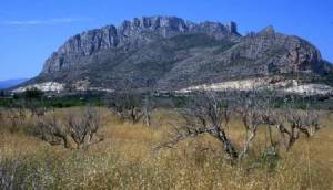 New - Apartment - El Verger