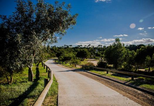 Obra Nueva - Villa - Rojales - Ciudad Quesada