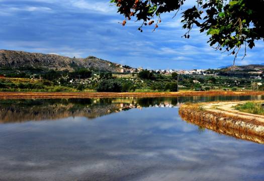 Obra Nueva - Villa - Calasparra - Coto riñales