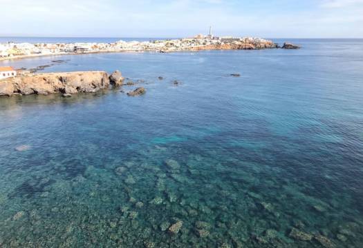 Obra Nueva - Villa / Chalet - Cabo de Palos - Cala medina