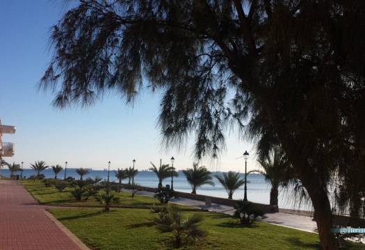 Obra Nueva - Adosado - Los Alcázares - Serena Golf