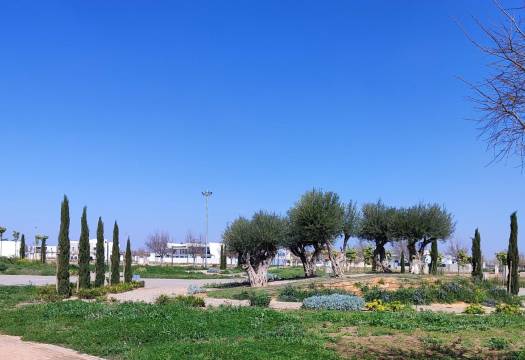 New - Apartment - Torre Pacheco - Torre-pacheco