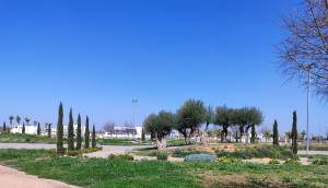 New - Apartment - Torre Pacheco - Torre-pacheco