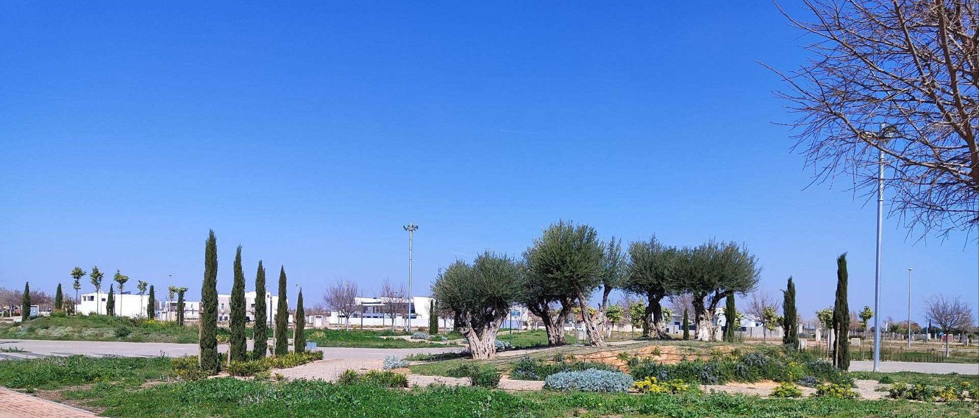 New - Apartment - Torre Pacheco - Torre-pacheco