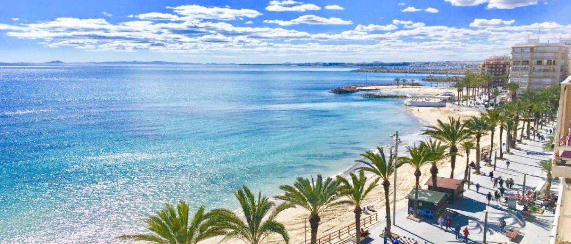 Obra Nueva - Adosado - Torrevieja - Lago jardin