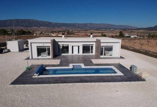 New - Villa - Pinoso - Camino Del Prado