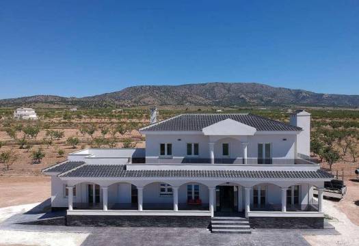 Obra Nueva - Villa - Pinoso - Camino Del Prado