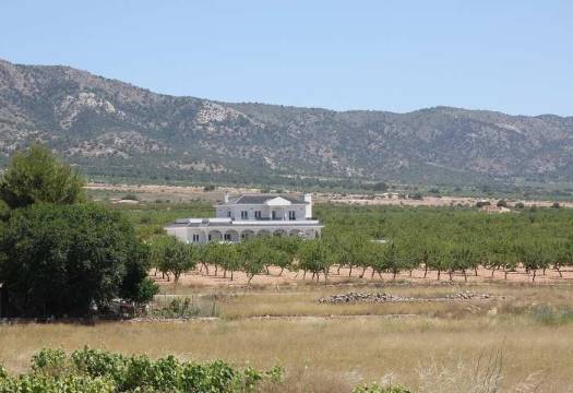 Obra Nueva - Villa - Pinoso - Camino Del Prado