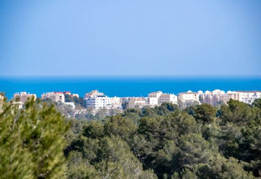 Obra Nueva - Villa - Jávea Xàbia - Tosalet