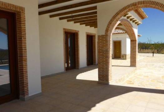 Obra Nueva - Villa - Pinoso - Centro