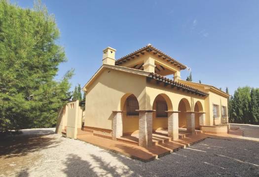 Obra Nueva - Villa - Fuente Álamo - Las Palas