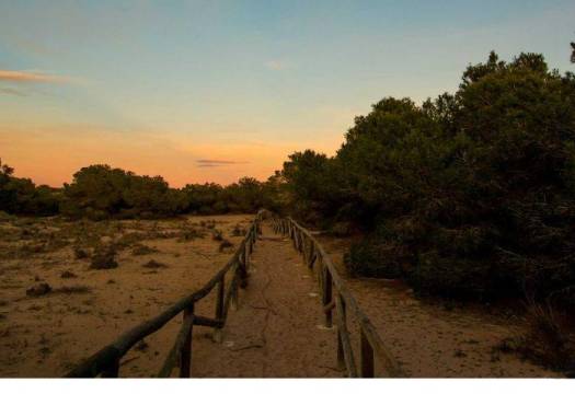 Obra Nueva - Villa - La Marina - La Marina / El Pinet