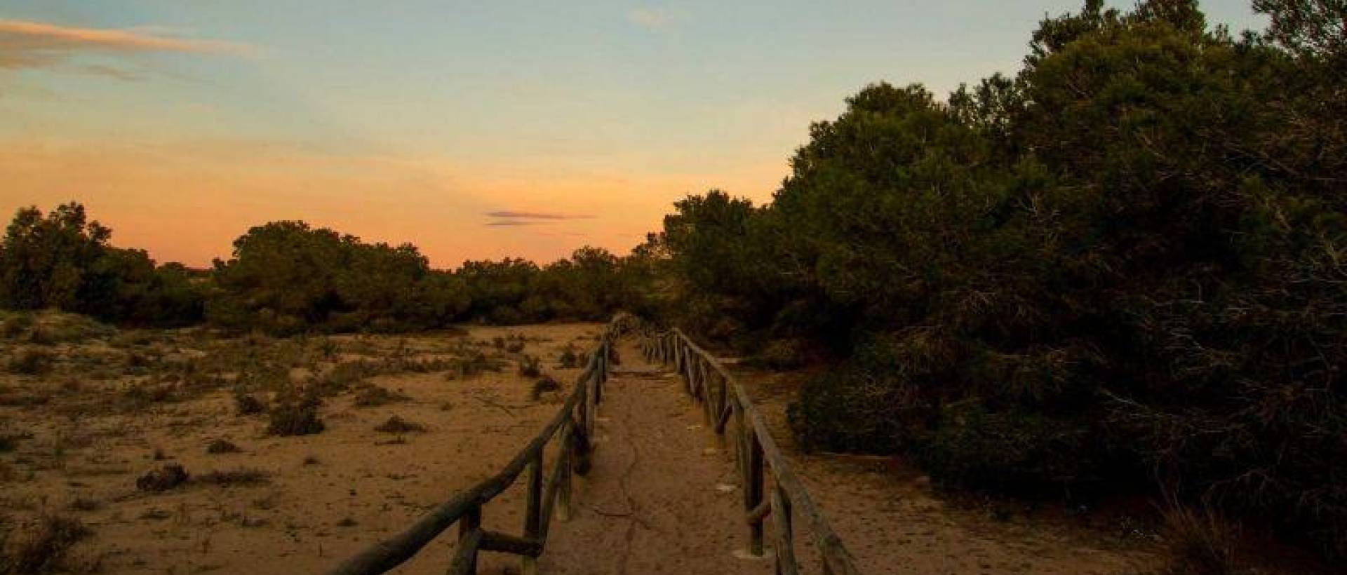 Obra Nueva - Villa - La Marina - La Marina / El Pinet