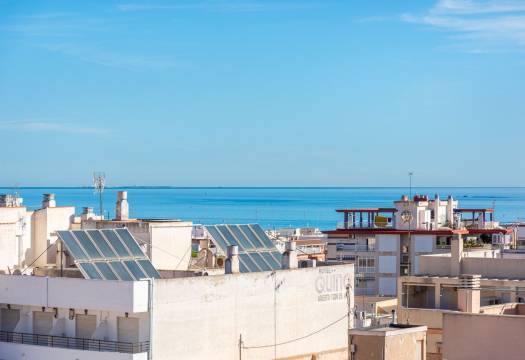 Obra Nueva - Apartmento - Guardamar del Segura - Centro