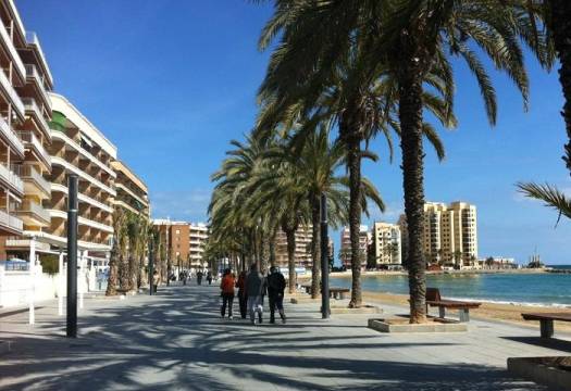 New - Apartment - Torrevieja - Playa del cura