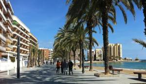 New - Apartment - Torrevieja - Playa del cura