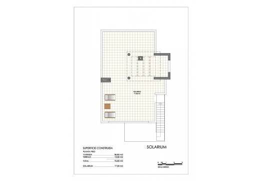 New - Townhouse - San Miguel de Salinas - Urbanizaciones