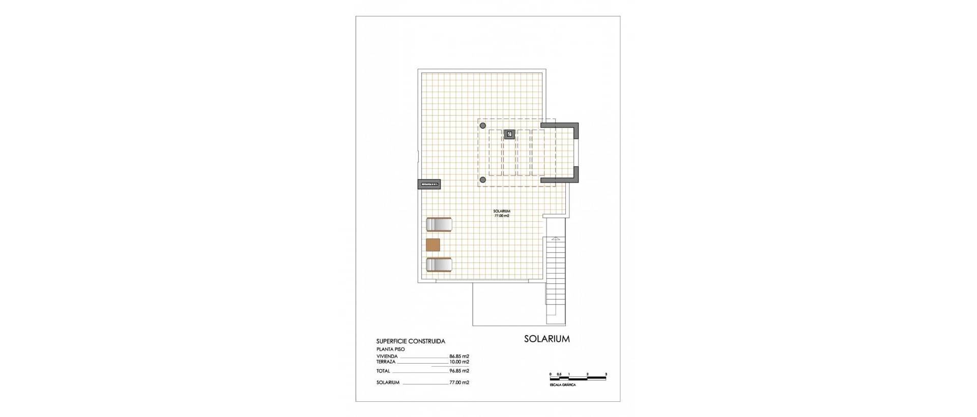 New - Townhouse - San Miguel de Salinas - Urbanizaciones